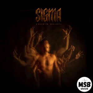 دانلود آهنگ شاهین نجفی به نام 209